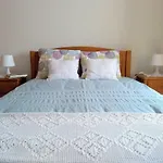 Casa Do Pinheiro Manso Farm stay *