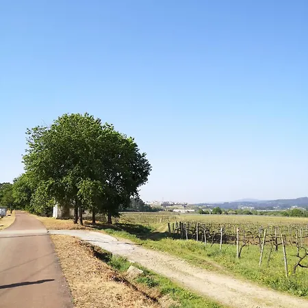 Casa Do Pinheiro Manso ファームステイ *