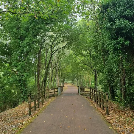 Casa Do Pinheiro Manso Çiftlik konaklama
