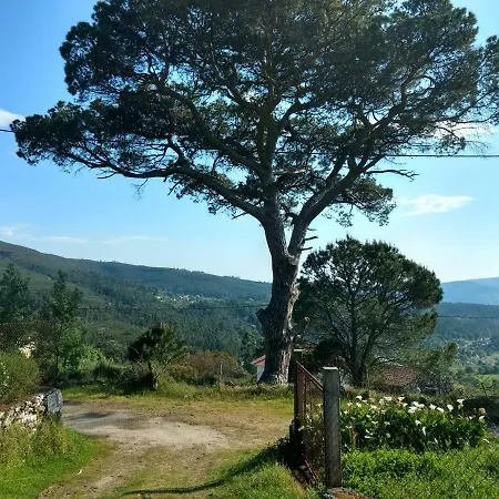 Casa Do Pinheiro Manso * Valenca