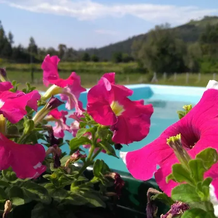 Çiftlik konaklama Casa Do Pinheiro Manso Valenca