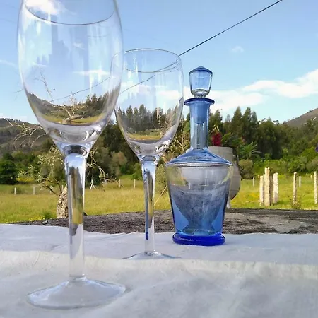 Çiftlik konaklama Casa Do Pinheiro Manso Valenca