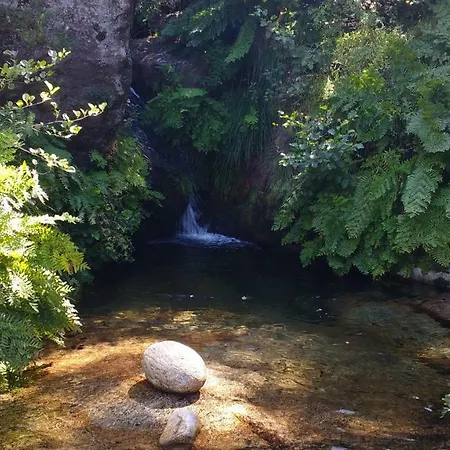 Casa Do Pinheiro Manso Valenca