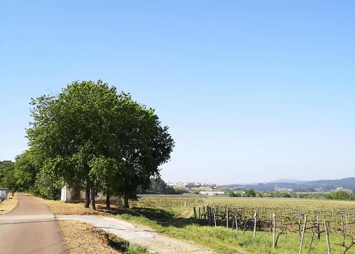 Casa Do Pinheiro Manso Alloggio per agriturismo *