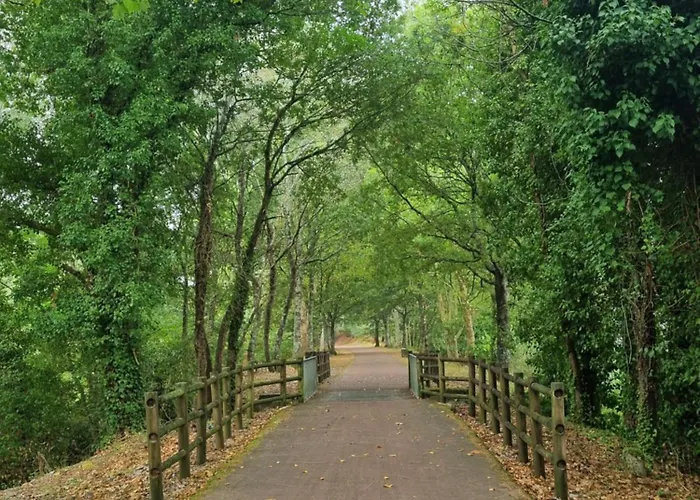 Casa Do Pinheiro Manso Farma