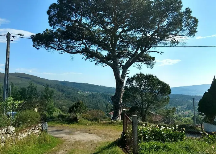 Casa Do Pinheiro Manso * 巴伦西亚