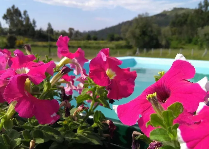 Çiftlik konaklama Casa Do Pinheiro Manso Valenca