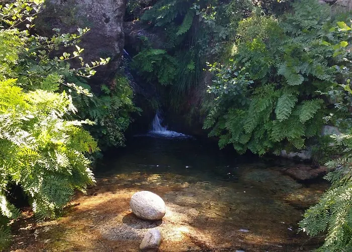 Casa Do Pinheiro Manso Valenca